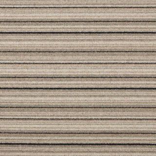 Black Multi Stripe