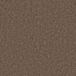 Skylark Oak